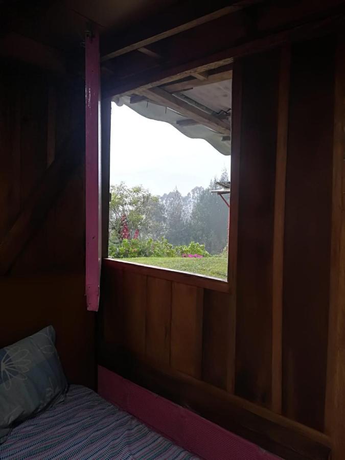 Finca Cafetera El Coral Jardín Esterno foto