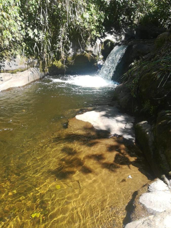 Finca Cafetera El Coral Jardín Esterno foto