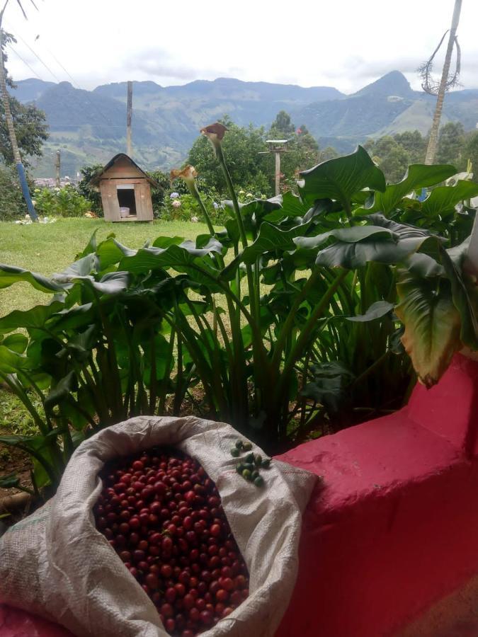 Finca Cafetera El Coral Jardín Esterno foto