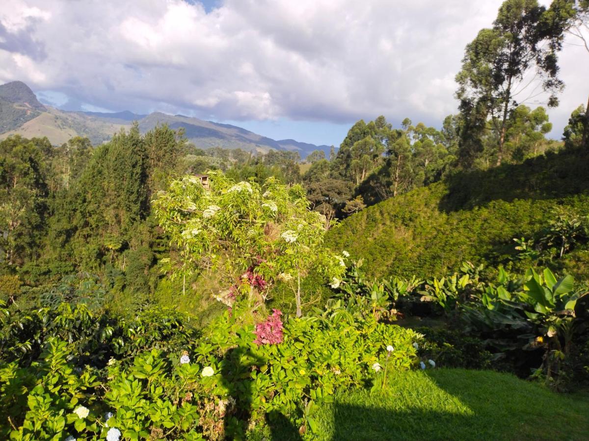 Finca Cafetera El Coral Jardín Esterno foto
