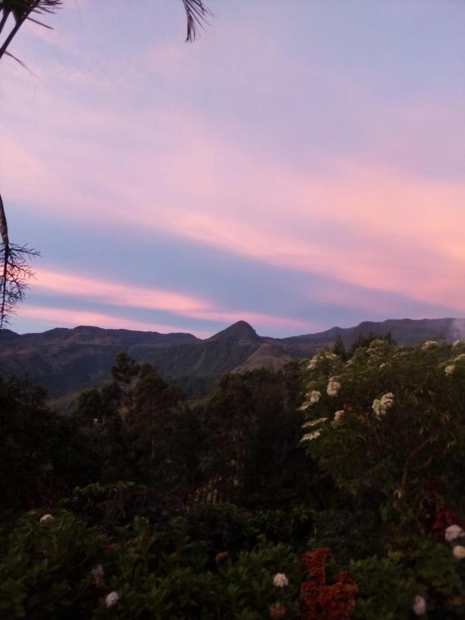 Finca Cafetera El Coral Jardín Esterno foto