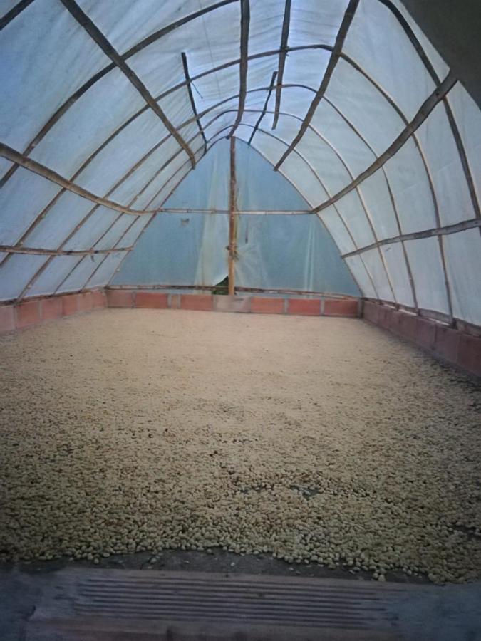 Finca Cafetera El Coral Jardín Esterno foto